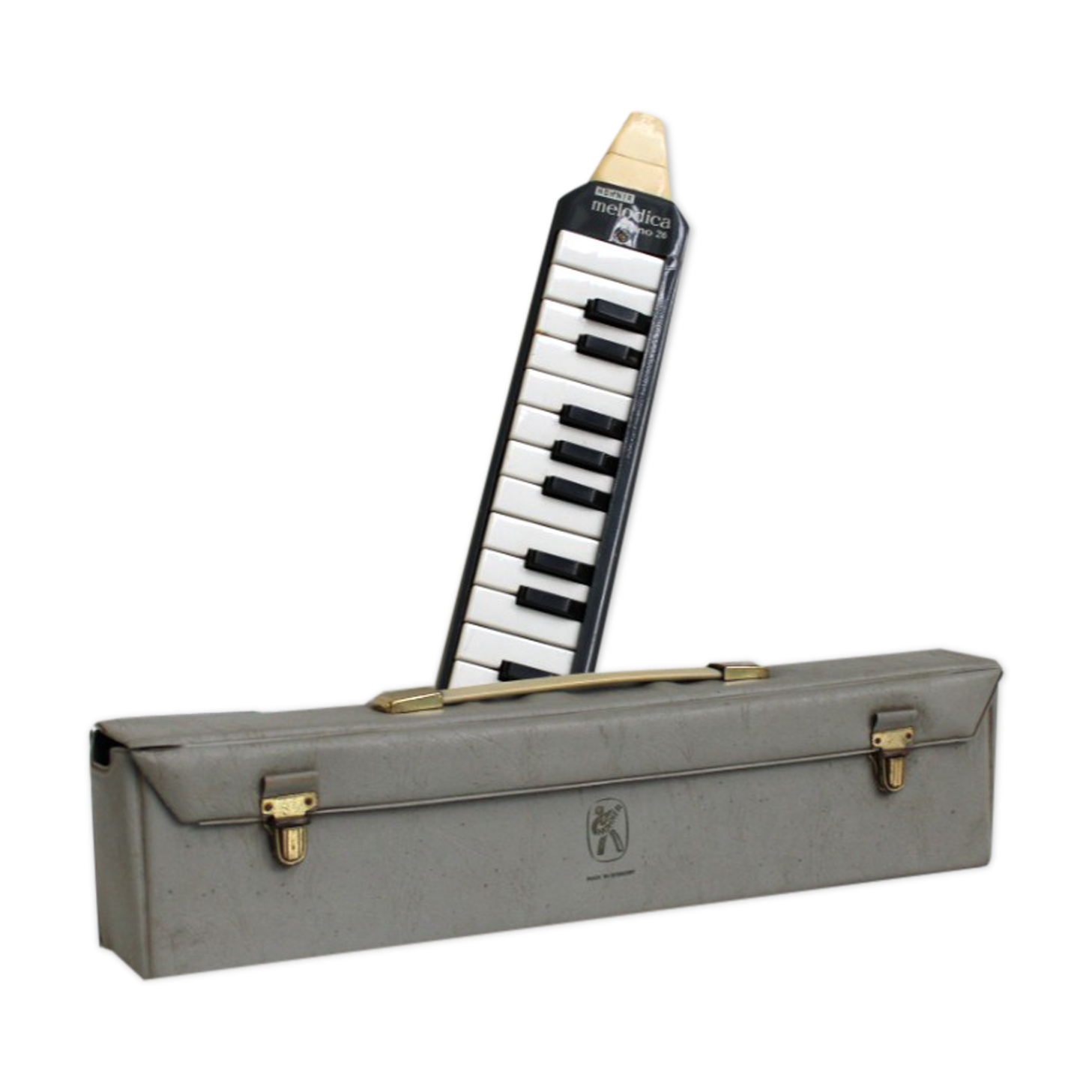 Musical instrument Melodica