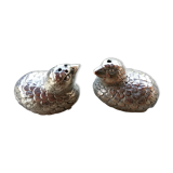 Pair of pepper salt birds