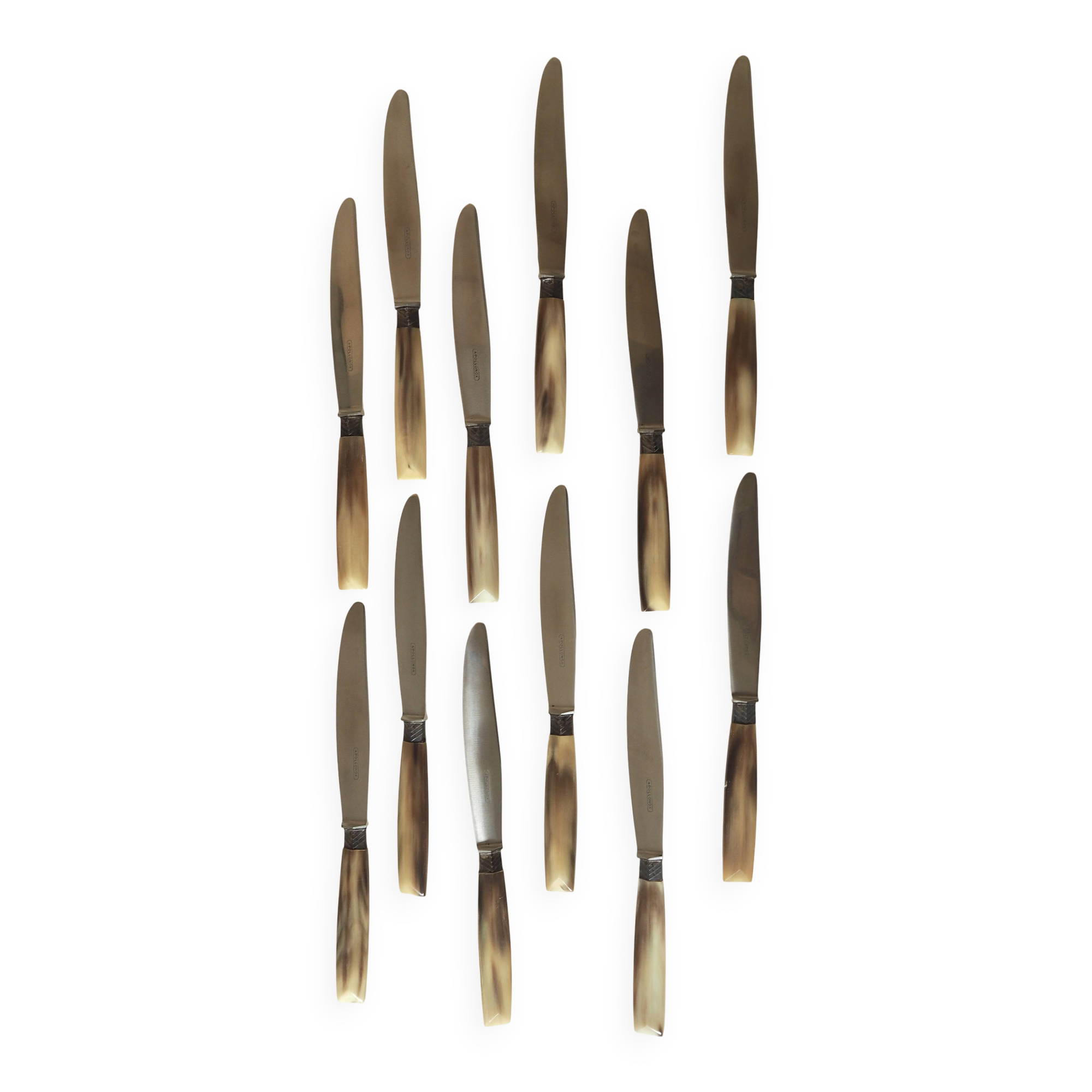 Set of 12 dessert knives Apollonox