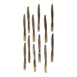 Set of 12 dessert knives Apollonox