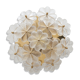 Ceiling lamp by Ernst Palme, Germany 1970
