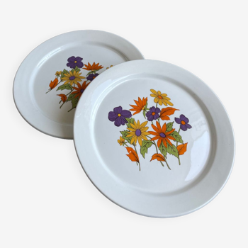 Duo of  plates