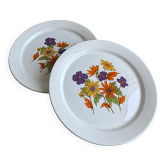 Duo of  plates