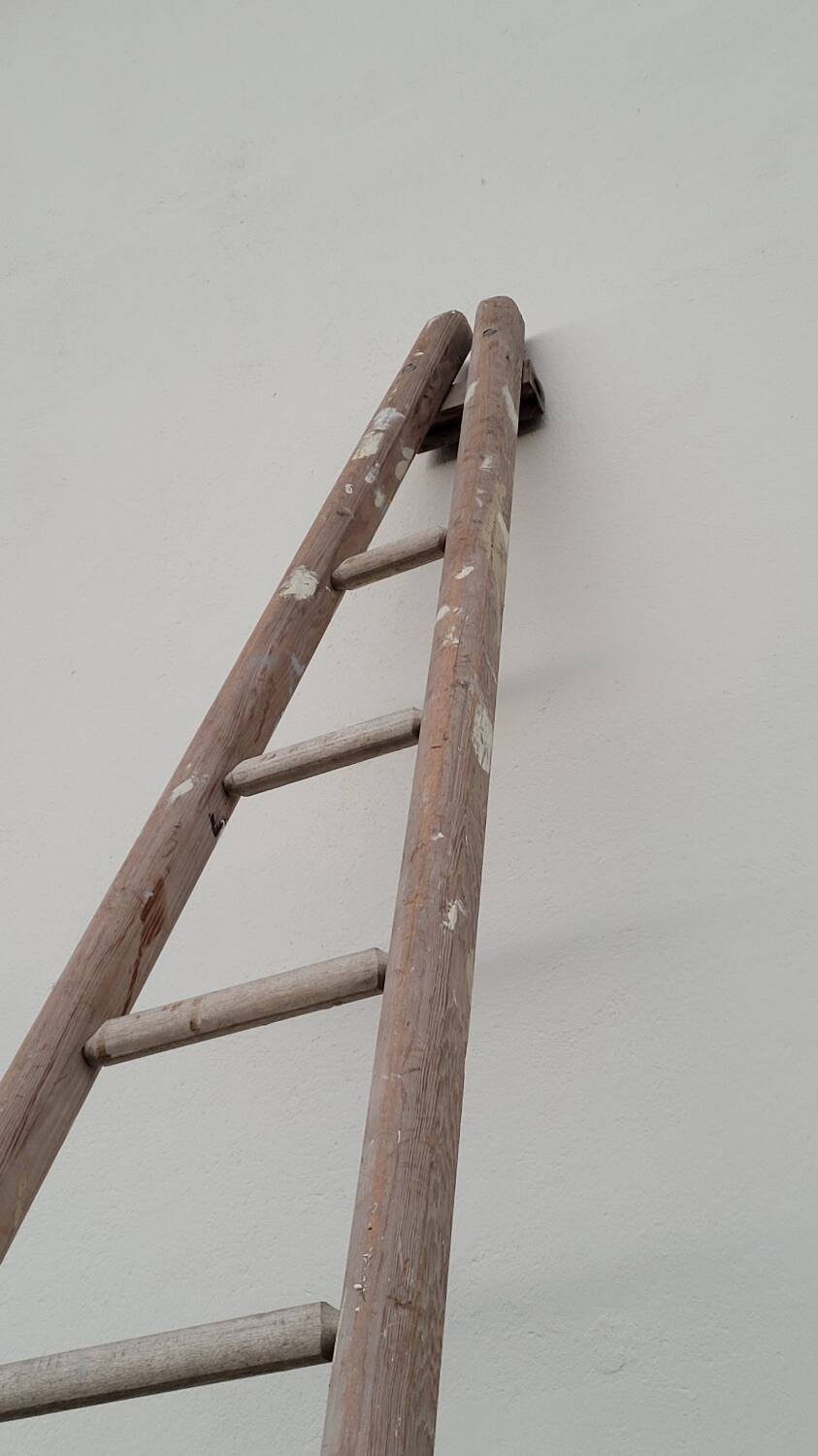 Old wooden fruit harvest market gardener's ladder - 3m65
