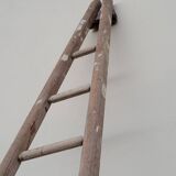 Échelle de maraîcher récolte fruitière en bois ancien -3m65