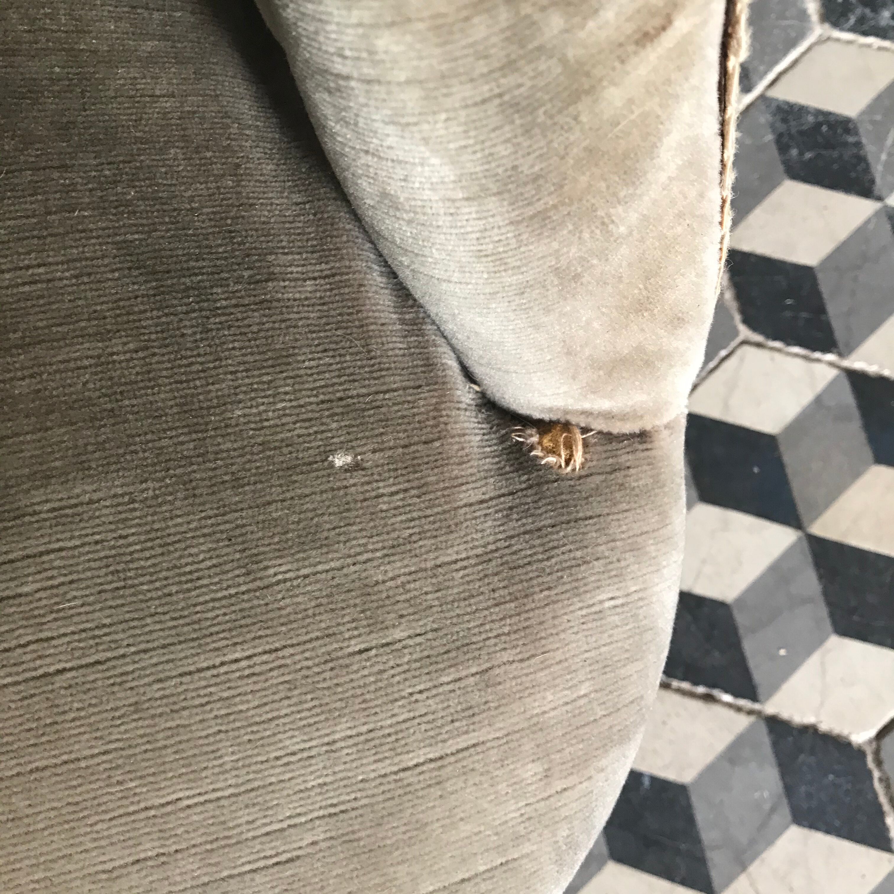 Fauteuil crapaud vert kaki capitonné