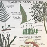 Rossignol pedagogical poster