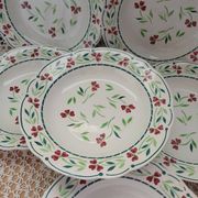 6 Digoin and Sarreguemines soup plates