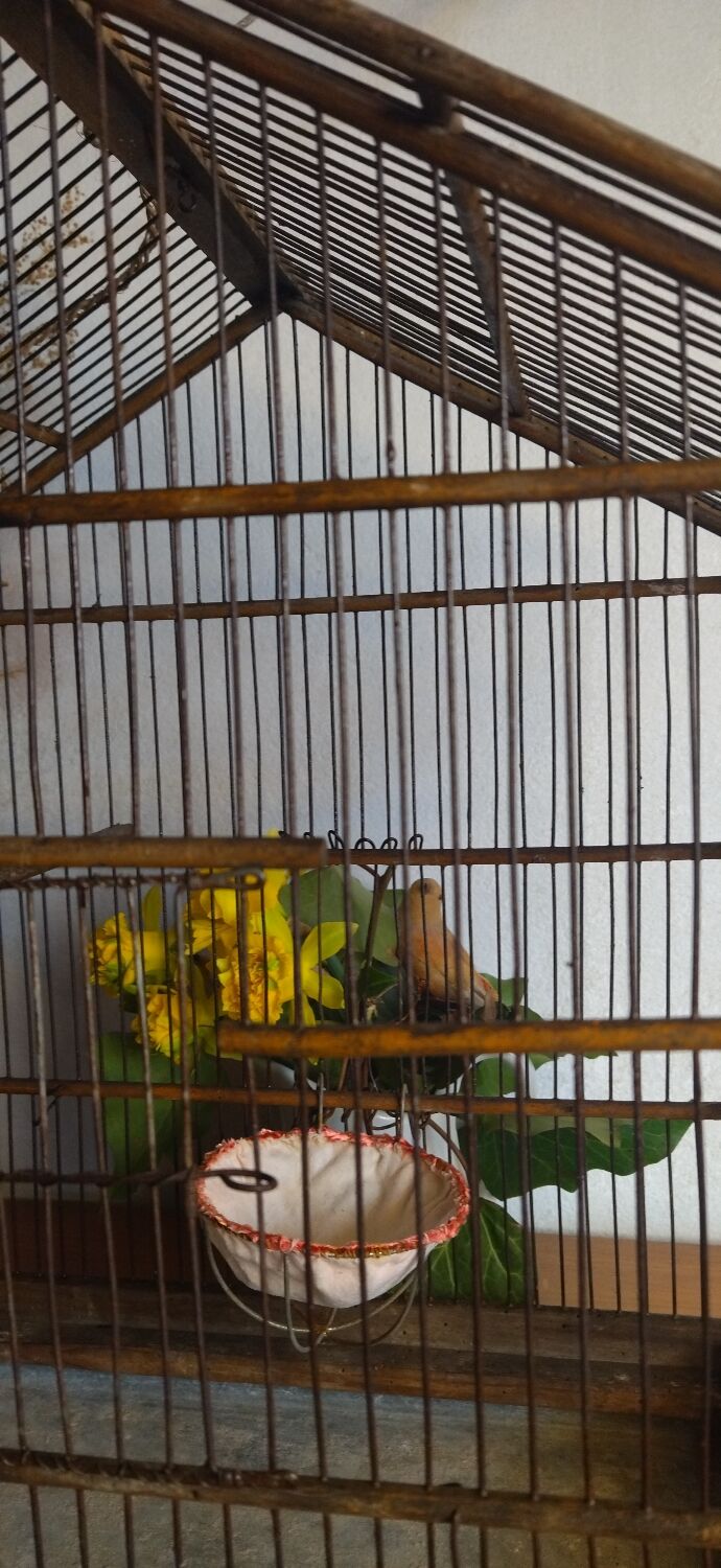 Cage ancienne