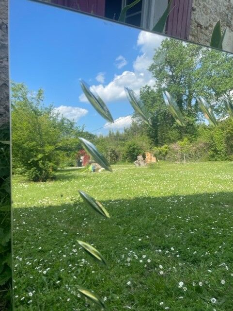 Mirror of the Marly brothers in Bordeaux