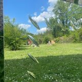 Mirror of the Marly brothers in Bordeaux