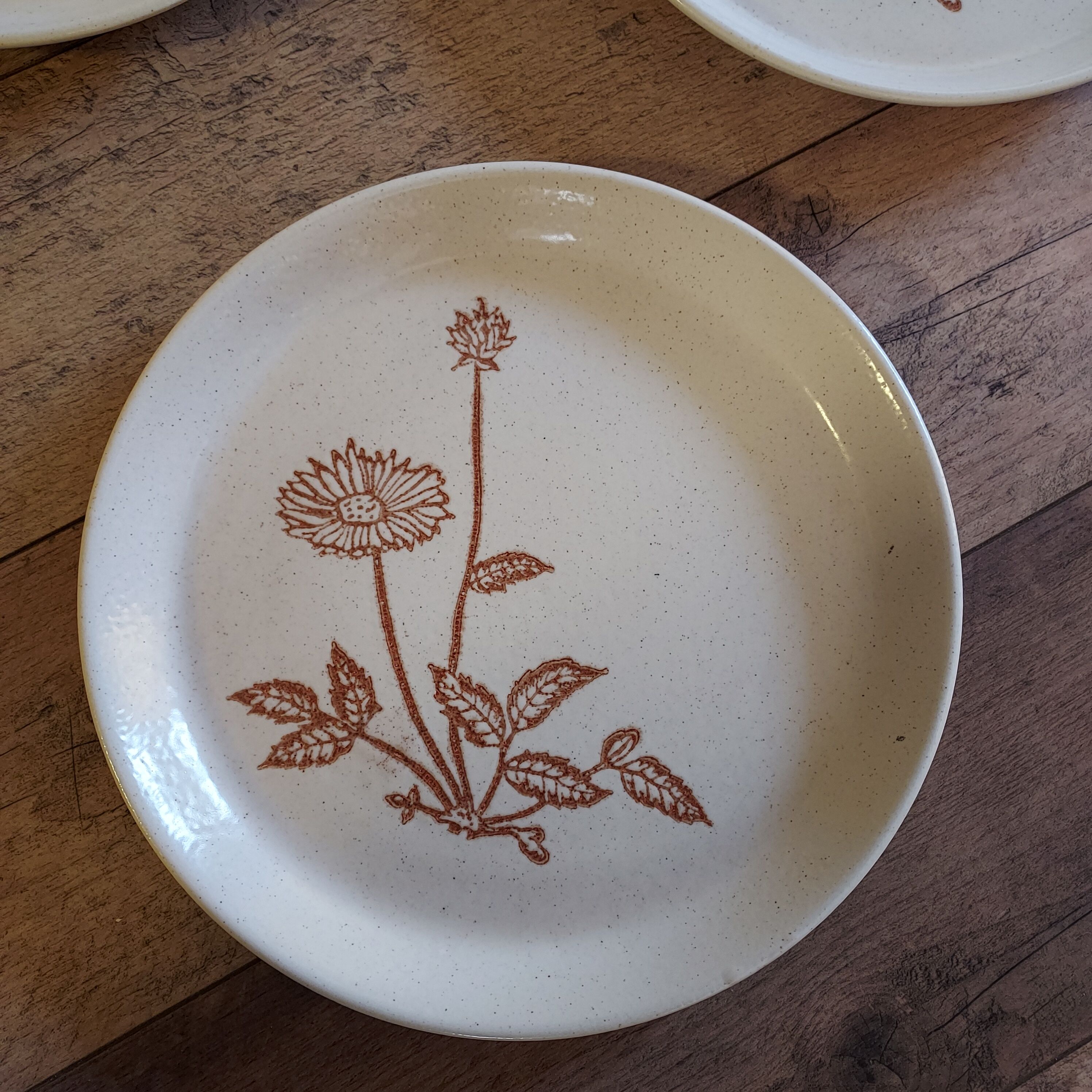 6 plates in light sandstone