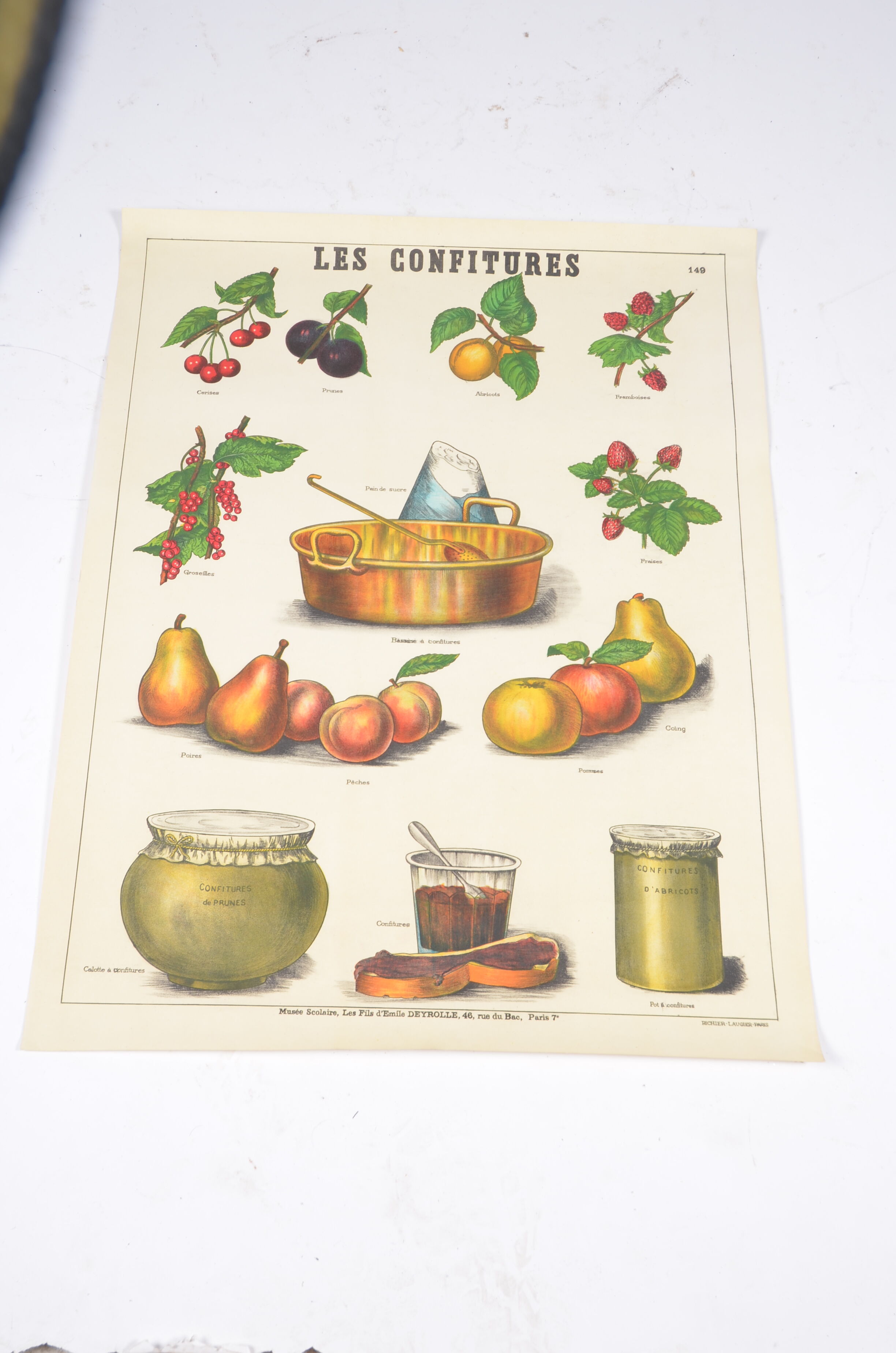 Poster Deyrolle "the compotes"