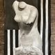Bust of Venus in charcoal Neoclassical workshop work 1920