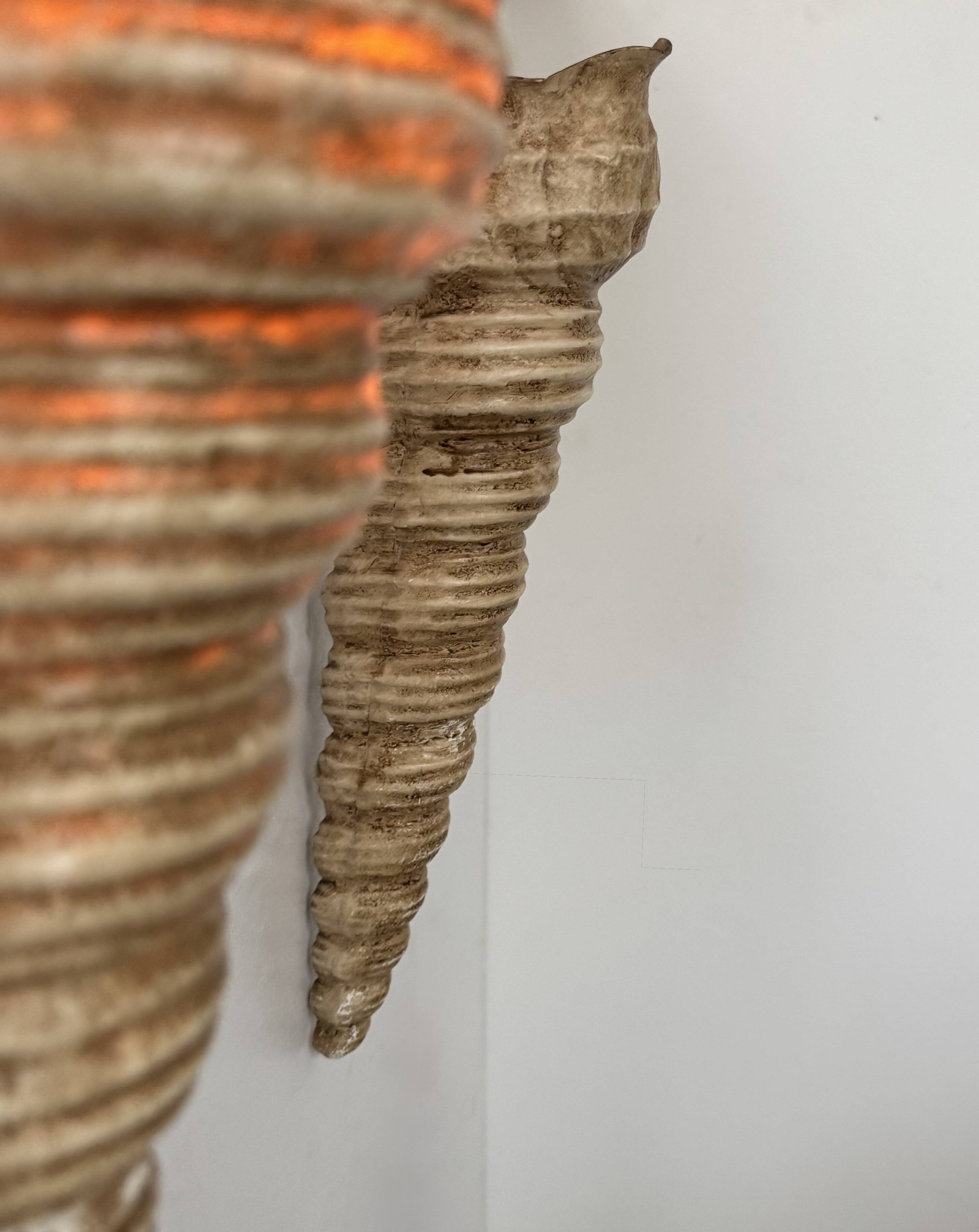 Pair of vintage shell wall sconces, beige fiberglass, France 1960