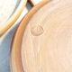6 assiettes plates en grès Roger Jacques Saint Amand