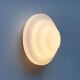 Mid-century Dutch ceiling or wall lamps by Raak, set of 2