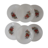 6 plates fruits of the woods arcopal ripe strawberry raspberry
