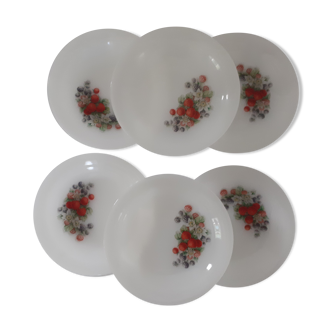 6 plates fruits of the woods arcopal ripe strawberry raspberry