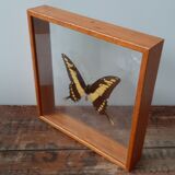 Butterfly frame