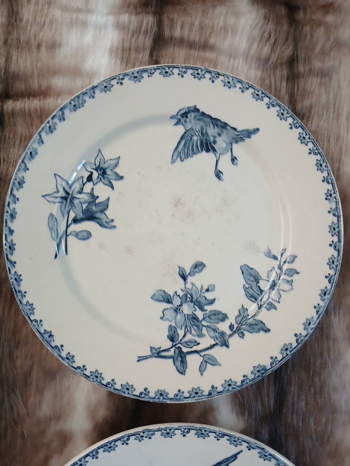8 antique dessert plates in ironstone