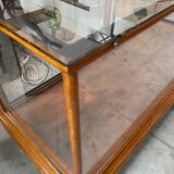 Presentation showcase counter early XXth