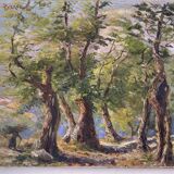 Reyne-marin of Pyrenees (20th century) hamlet in Ardèche