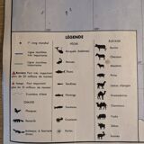 School map / political planisphere and economic planisphere