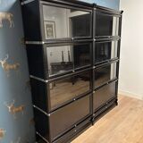 Black Globe Wernicke Bookcase