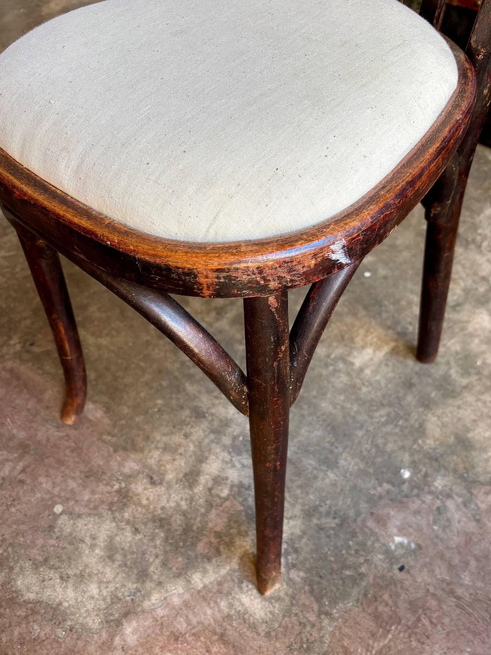 Bistro chair in bent beech and beige mixed fabric.