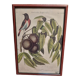 Botanical plate
