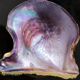 Jean Claude Dresse / Pierre Giraudon Inclusion of Pearl Oyster Shell