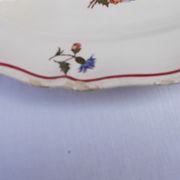 Plat ravier Sarreguemines modèles Agreste