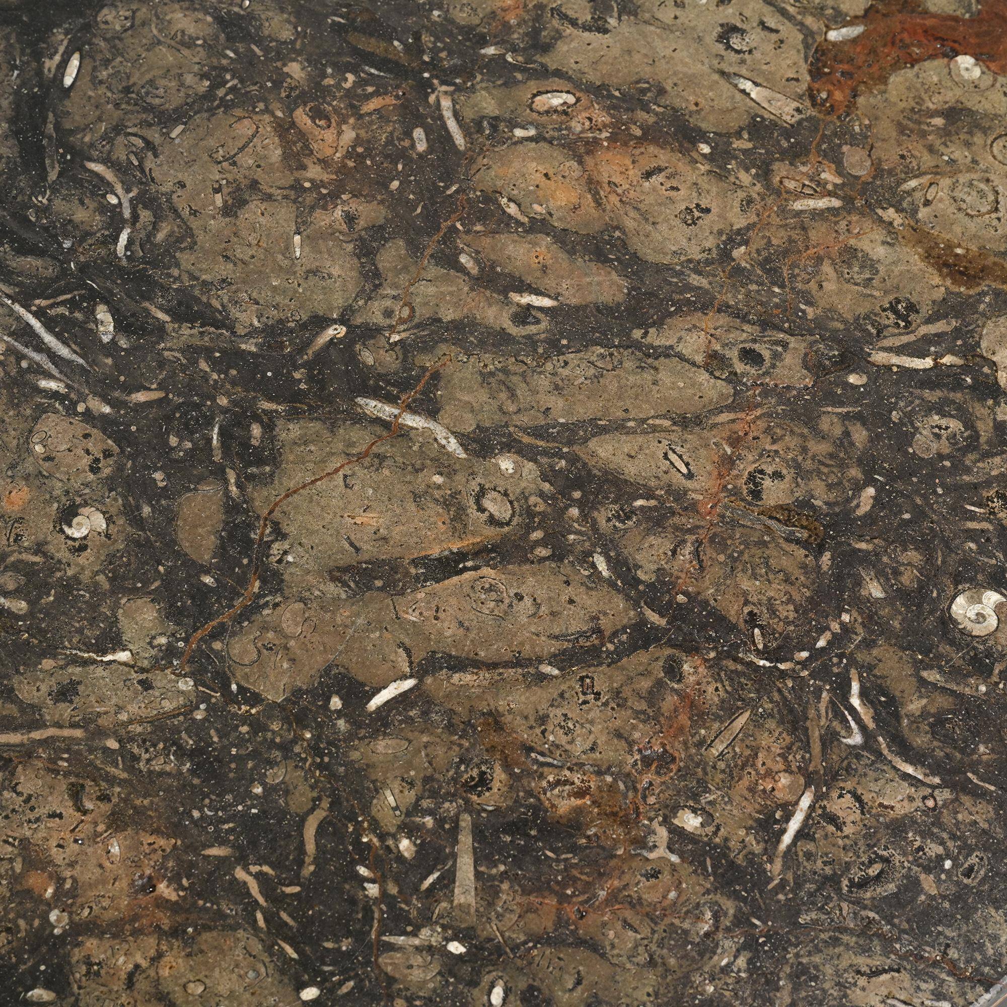 Fossil stone and chrome metal coffee table, Fossile Collection, Switzerland, circa 1980.