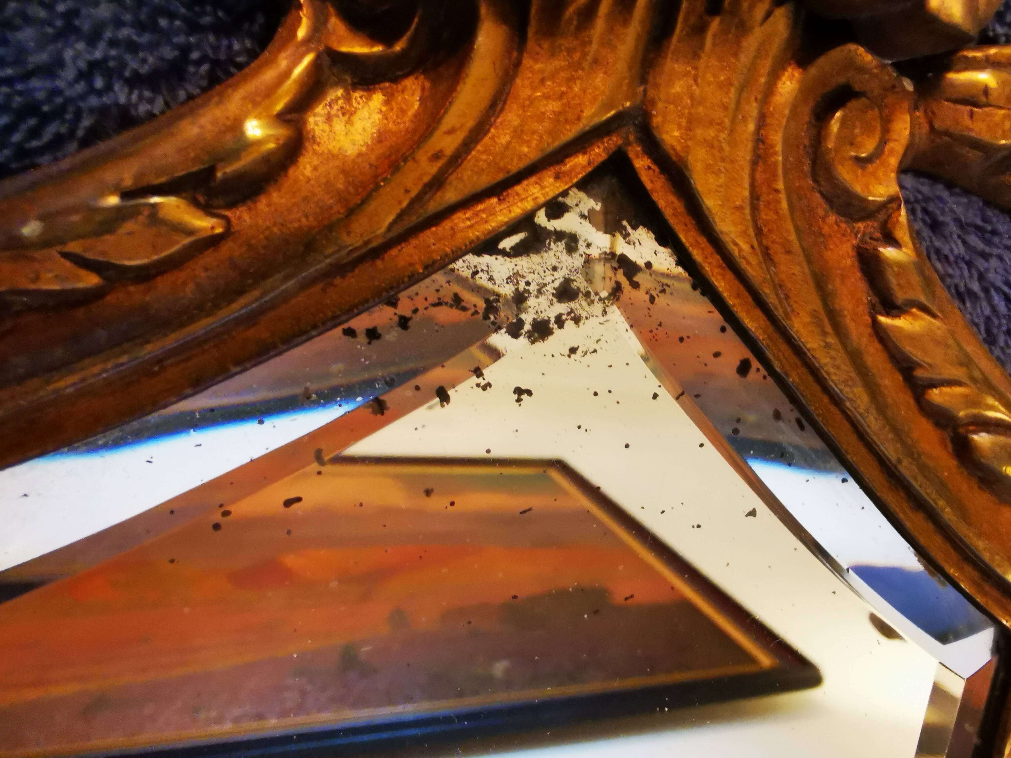 Pair of chissed and gilded bronze mirrors forming appliques