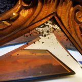 Paire de miroirs en bronze ciselé et doré formant appliques