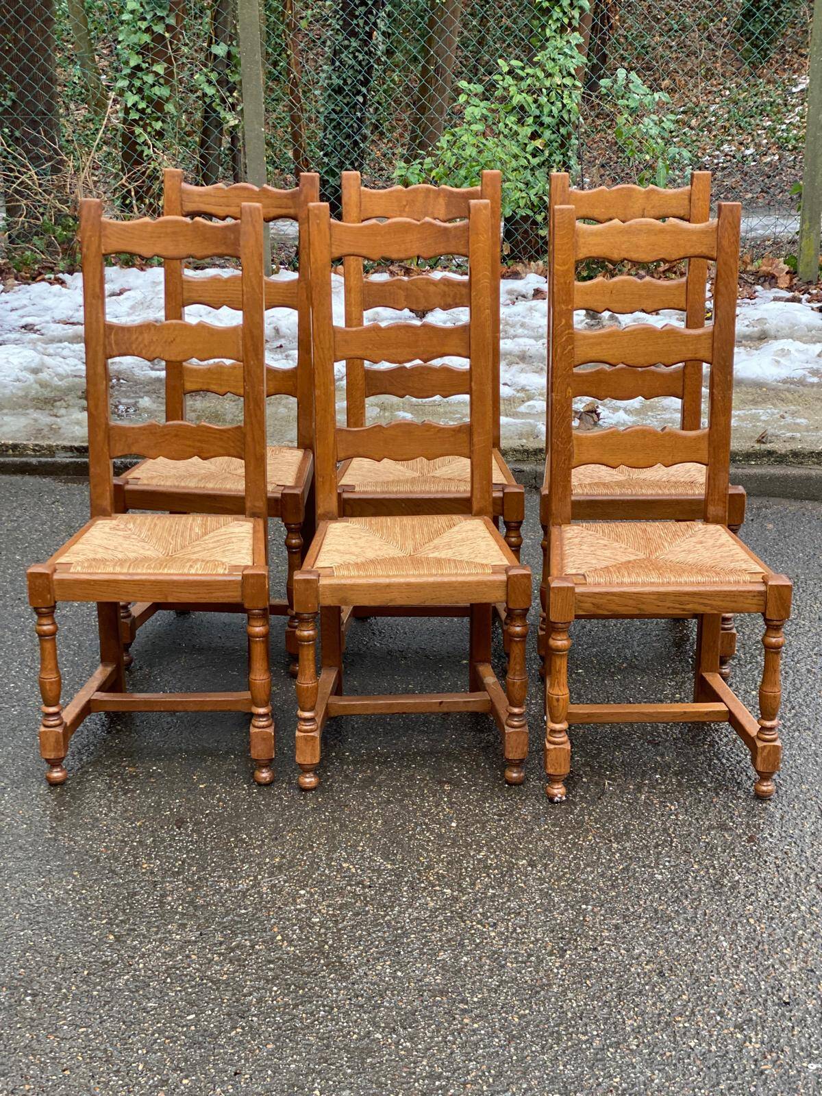 6 dining chairs made of solid medium oak with straw seats, 110cm