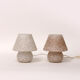 Vintage glass mushroom or champignon lamps 1960 germany.