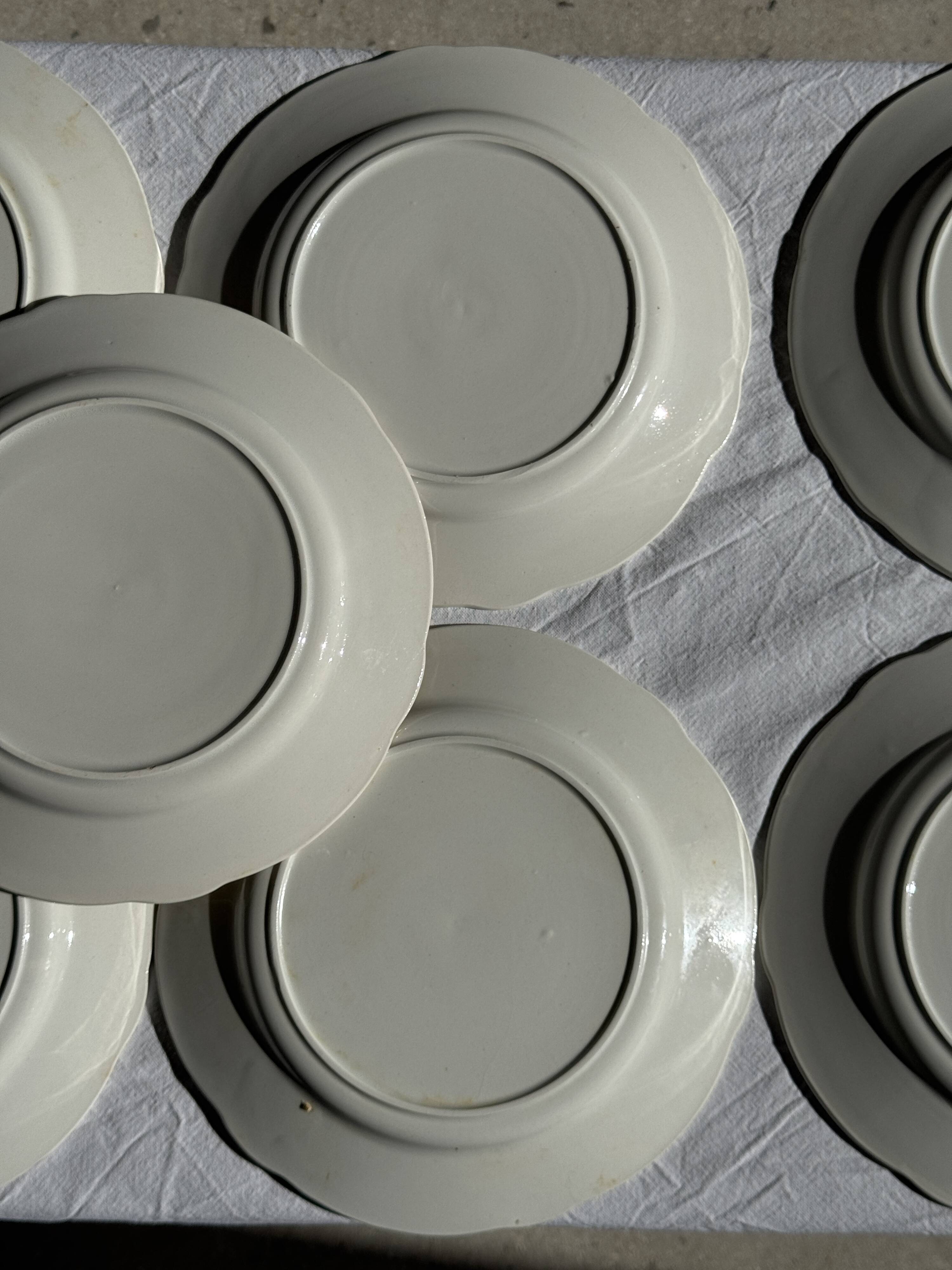Lot de 19 grandes assiettes plates vintage jaunes fleurs roses liseré doré
