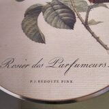 Rose frame by perfumers pj Redouté