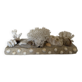 Marine composition
