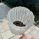 Pair of Arlus wall lamps in Murano glass vintage