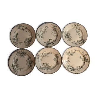 Lot of 6 plates of iron ter HB and cie model Moscow