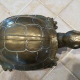 Tortue en laiton xxe patine dorée