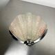 French Art Deco shell wall sconce – amber glass, 1960s