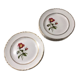 Vintage dessert plates Moulin des loups and Orchies