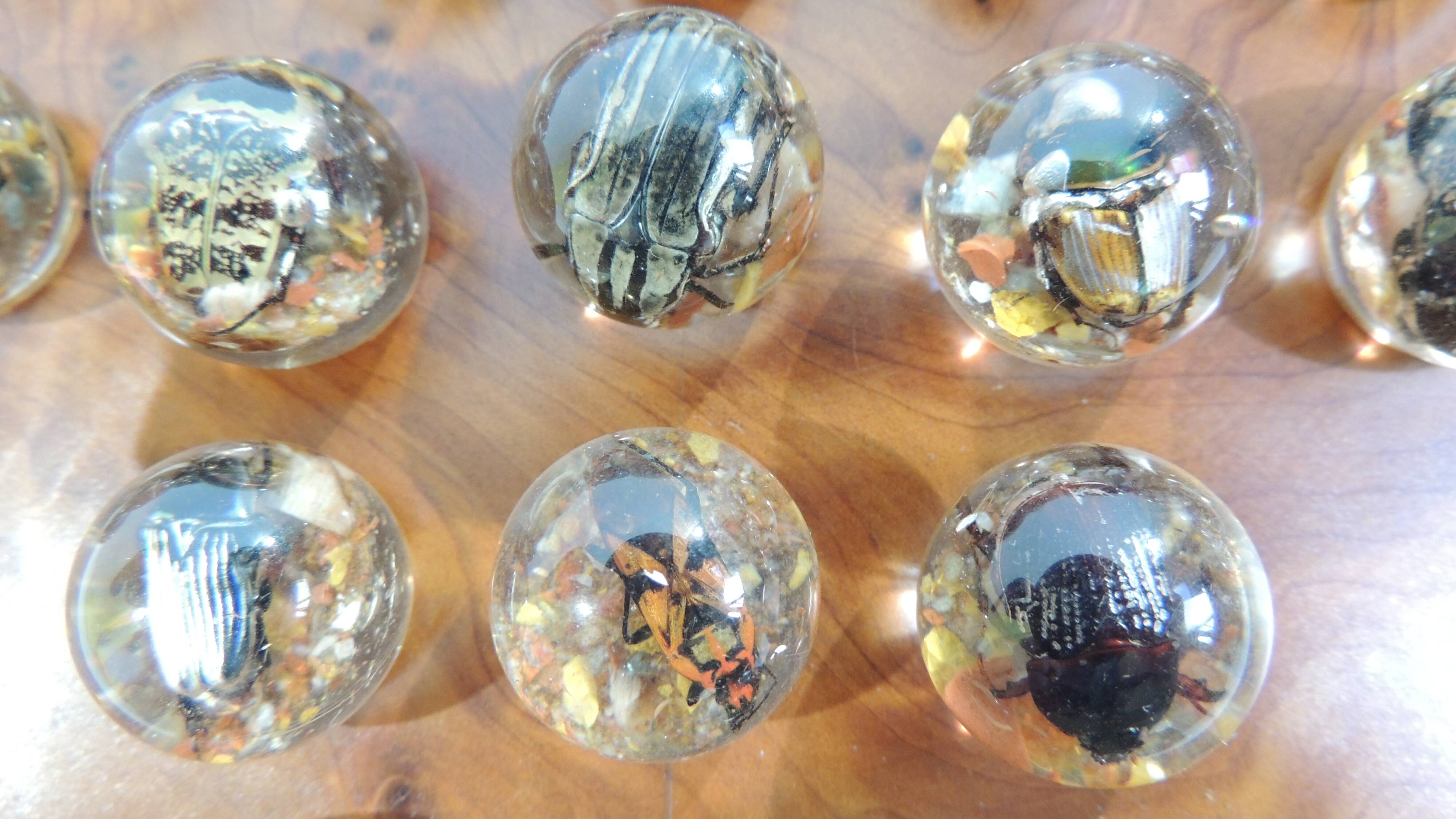 Vintage wooden solitaire game with resin balls and insects – Madaga