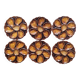 La Redoute x Selency set of 6 brown oyster plates