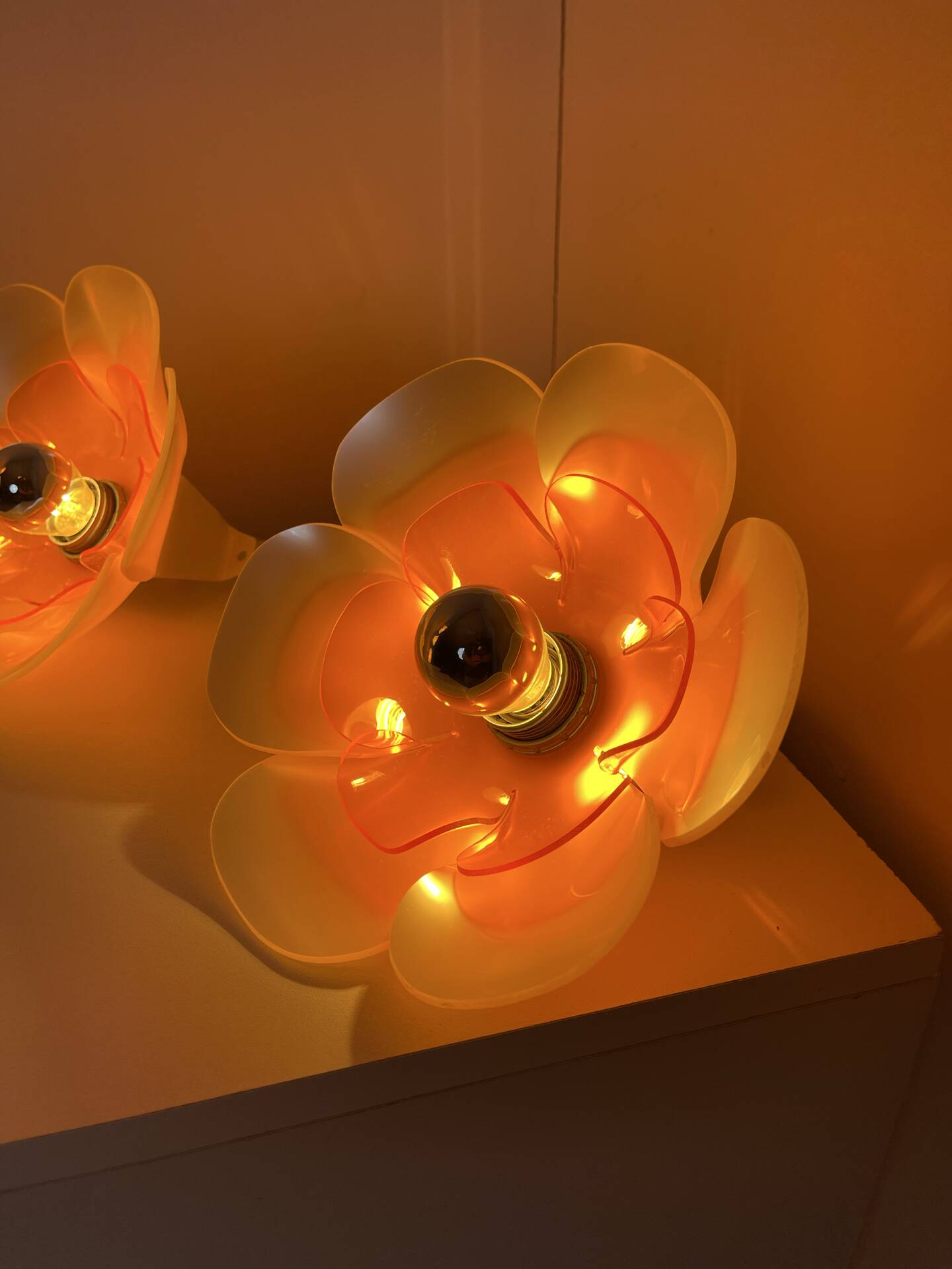 Pair of Flowers wall lights 1970