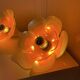Pair of Flowers wall lights 1970